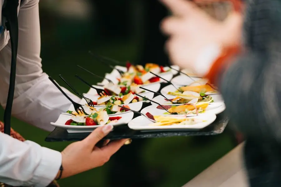 Party Buffet (Veg)