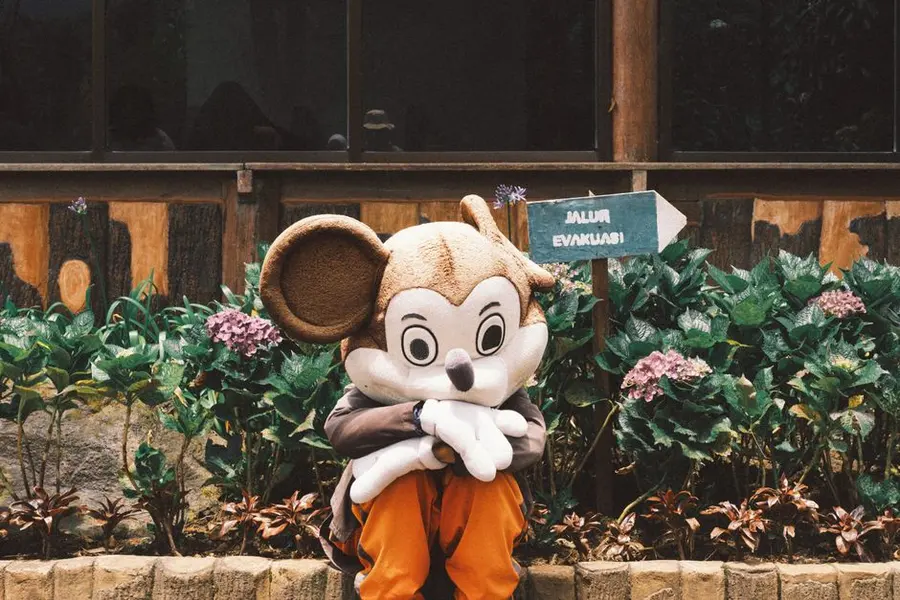 Mickey & Minnie Show
